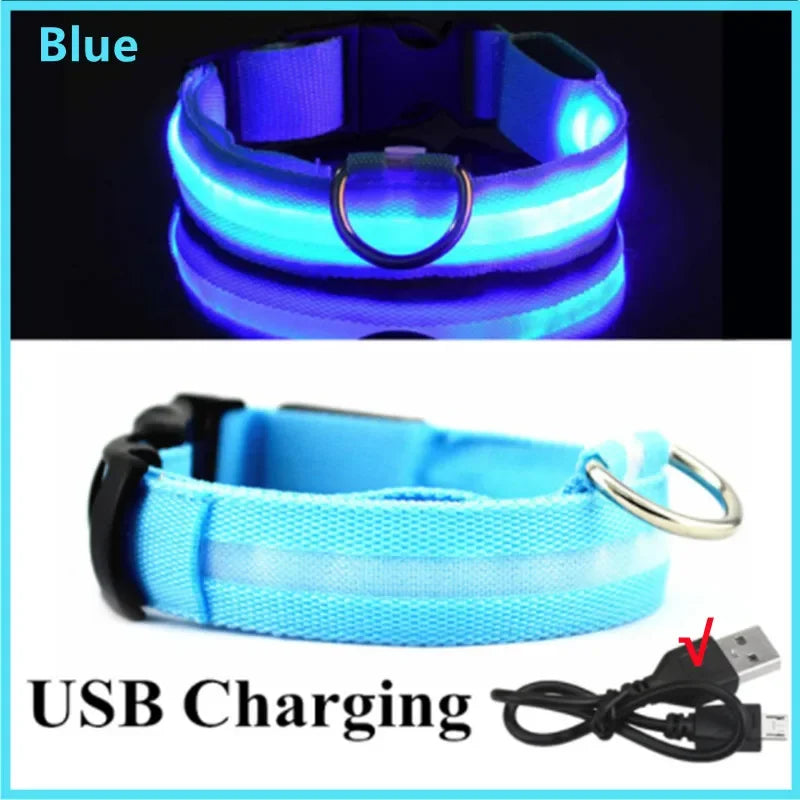 LED Safety Dog Collar ā Rechargeable Light-Up Collar for Night Walks