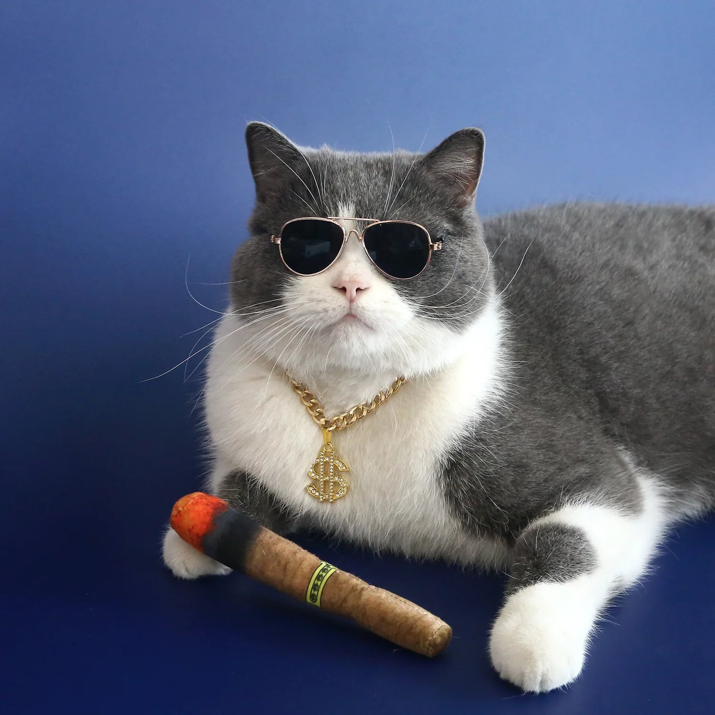 Luxury Gold Dollar Pet Necklace – Adjustable Bling Collar for Cats & Small Dogs