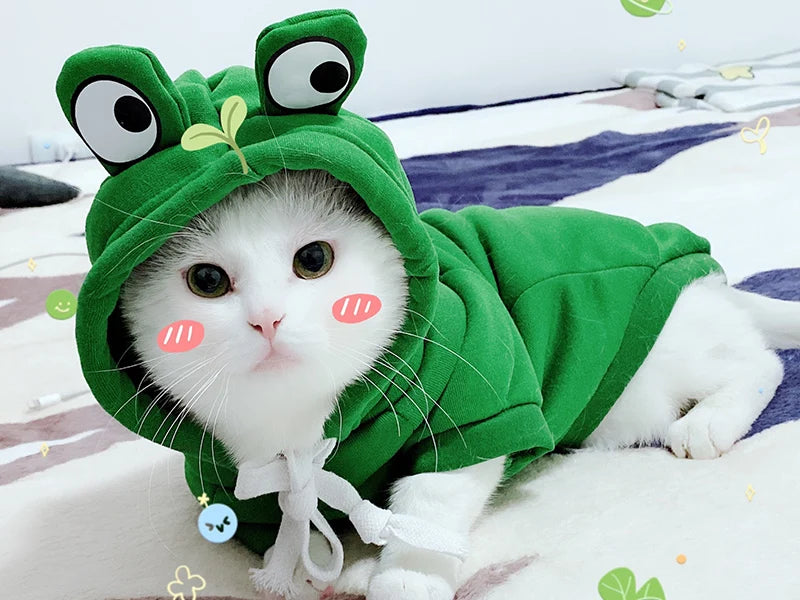 Adorable Winter Pet Hoodie – Fruit & Animal Cosplay