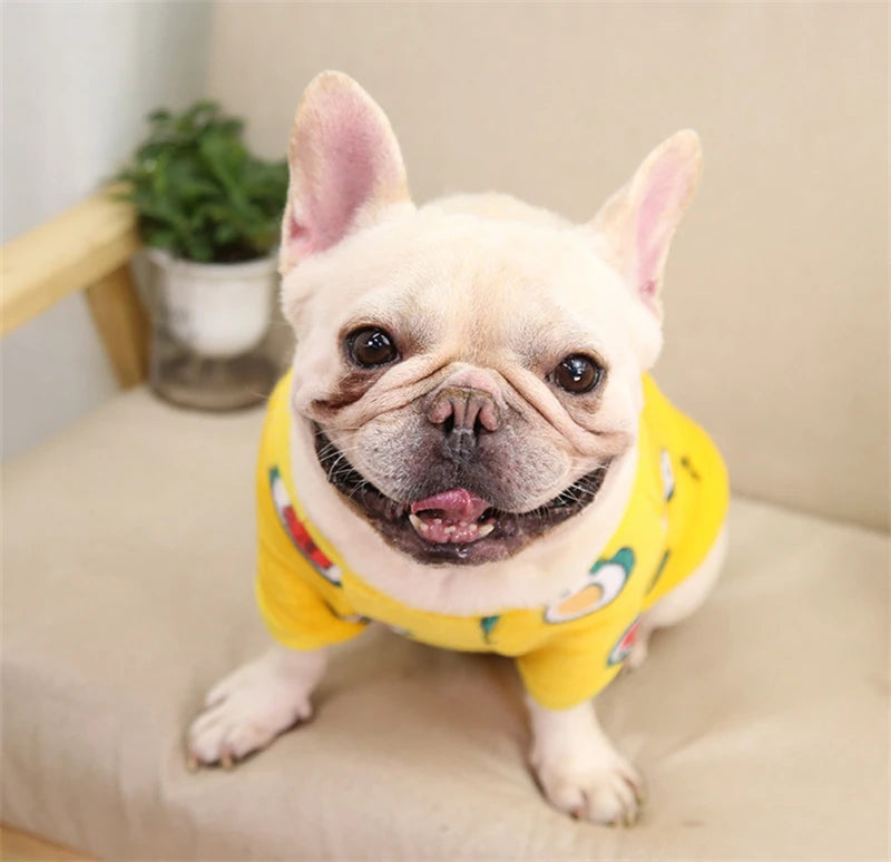 Cute Animal & Pattern Pet Sweatshirt