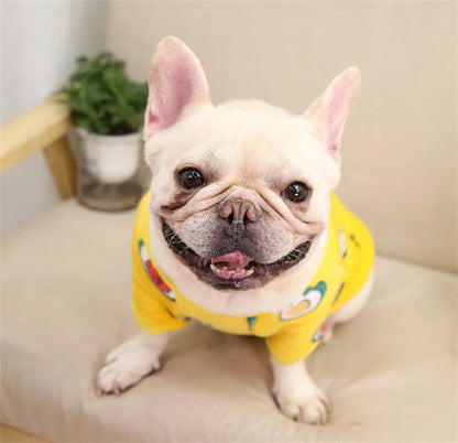 Cute Animal & Pattern Pet Sweatshirt