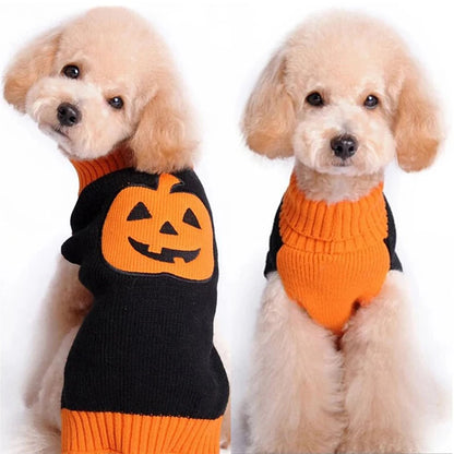 Spooky Halloween Pumpkin & Skull Dog Sweater — Cozy Fall Puppy Coat