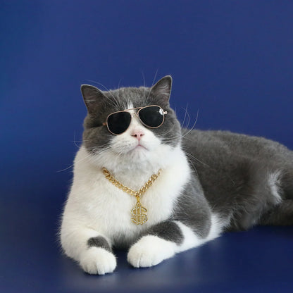 Luxury Gold Dollar Pet Necklace – Adjustable Bling Collar for Cats & Small Dogs