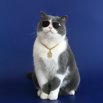 Luxury Gold Dollar Pet Necklace – Adjustable Bling Collar for Cats & Small Dogs