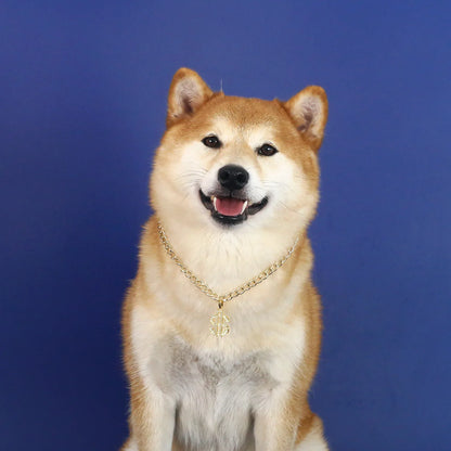Luxury Gold Dollar Pet Necklace – Adjustable Bling Collar for Cats & Small Dogs