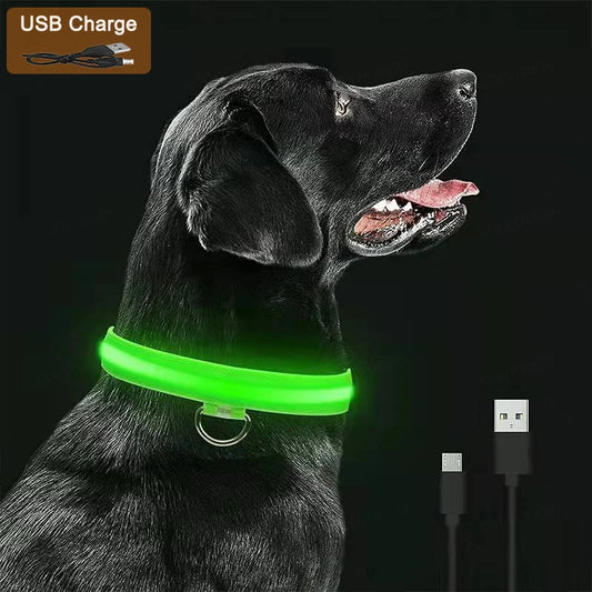 LED Safety Dog Collar – Rechargeable Light-Up Collar for Night Walks