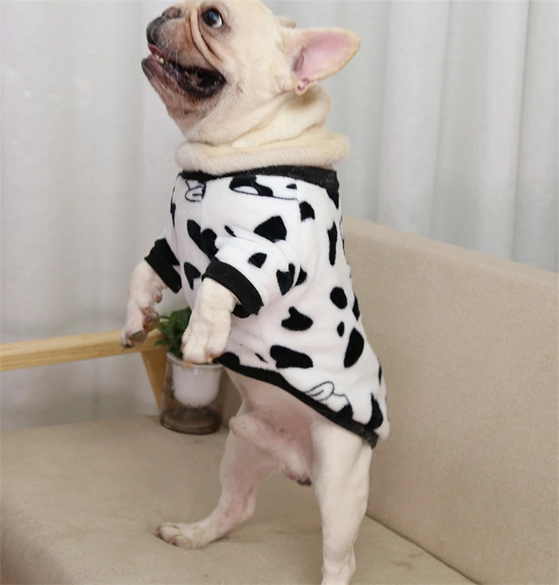 Cute Animal & Pattern Pet Sweatshirt